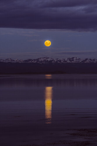 La luz del fin del mundo van Jorge Omeñaca, Fotografie te koop op Singulart