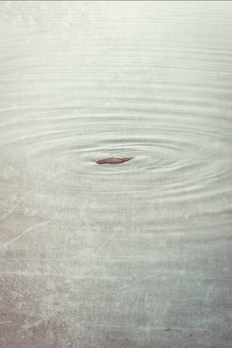 Life circles von Jorge Omeñaca, Fotografie kaufen auf Singulart