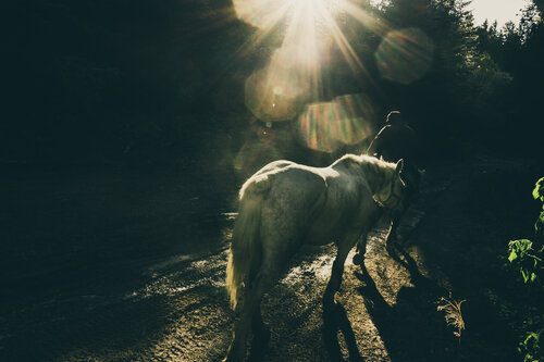 In a horse path by Jorge Omeñaca, Photography for Sale on Singulart