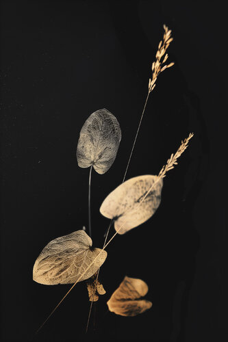 Espigas y corazones de Jorge Omeñaca, Fotografía a la venta en Singulart