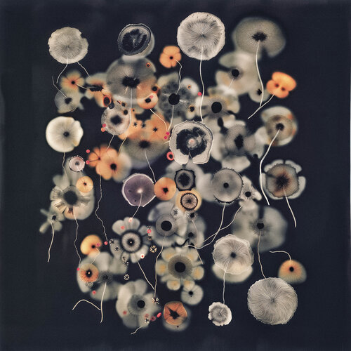 Fractales von Jorge Omeñaca, Fotografie kaufen auf Singulart