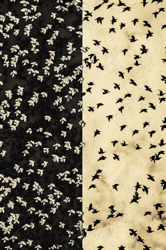 Birds & Birds von Jorge Omeñaca, Fotografie kaufen auf Singulart