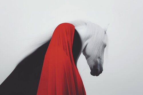 The horse and the red von Jorge Omeñaca, Fotografie kaufen auf Singulart