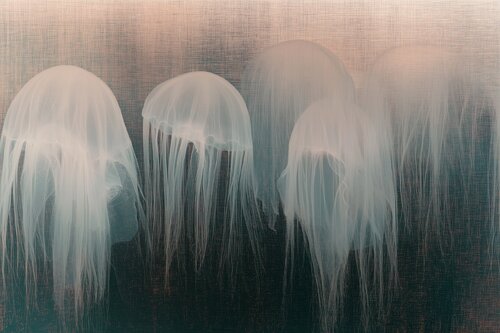 Ghosts in the sea par Jorge Omeñaca, Photographie en vente sur Singulart