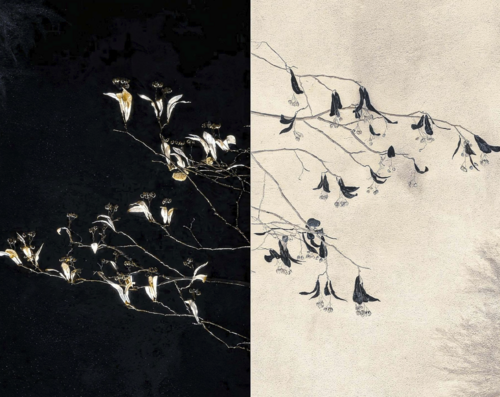 Ramas y flores minimal by Jorge Omeñaca, Photography for Sale on Singulart