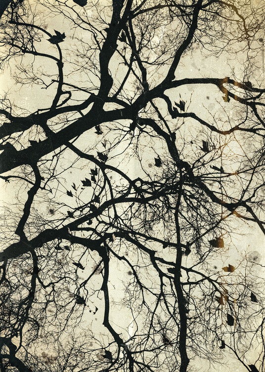 Neuronal Jorge Omeñaca