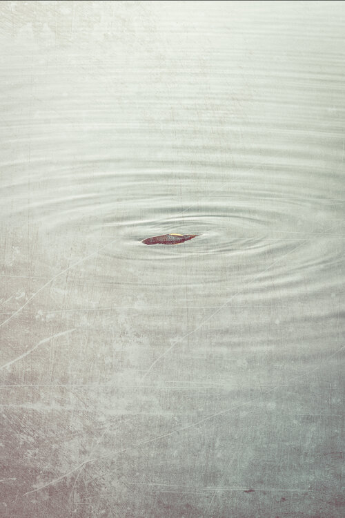 Life circles Jorge Omeñaca