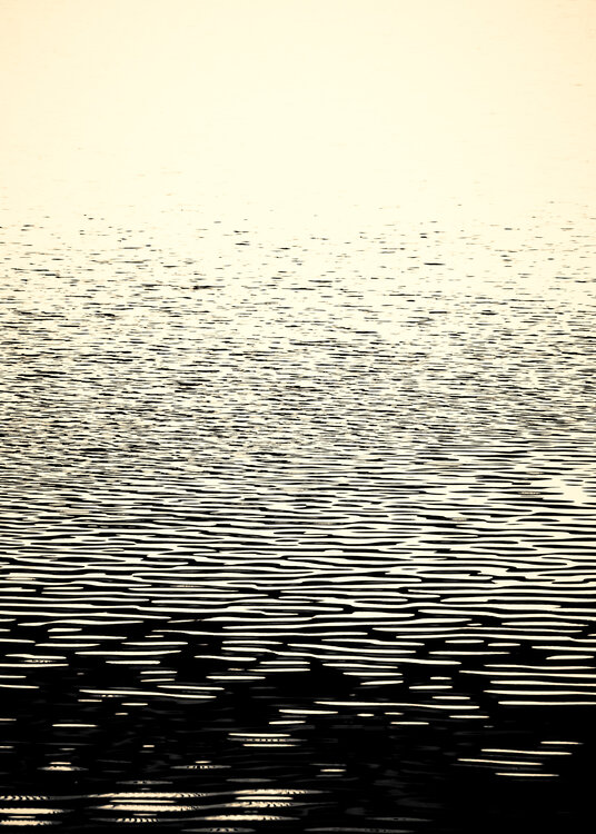 El mar, el mar Jorge Omeñaca