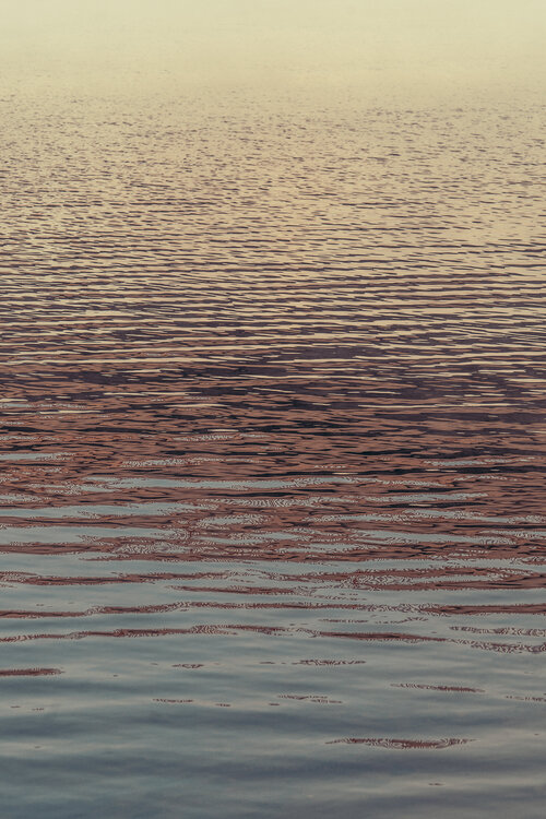 The possibility of water Jorge Omeñaca