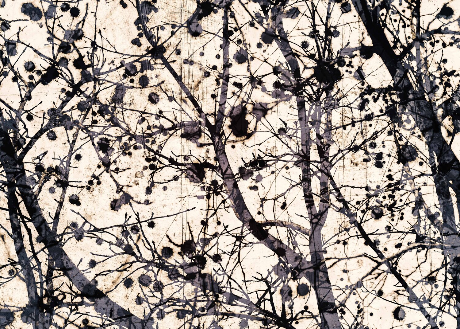 Pollock tree Jorge Omeñaca