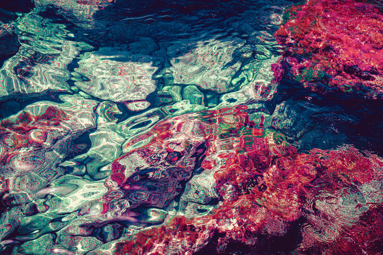 Pink corals Jorge Omeñaca