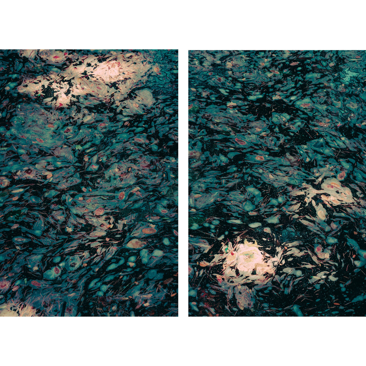 Recuerdos de Monet Jorge Omeñaca