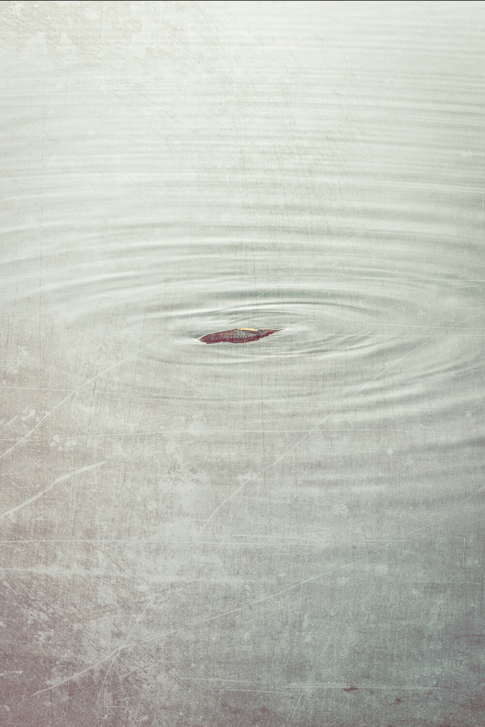 Life circles Jorge Omeñaca