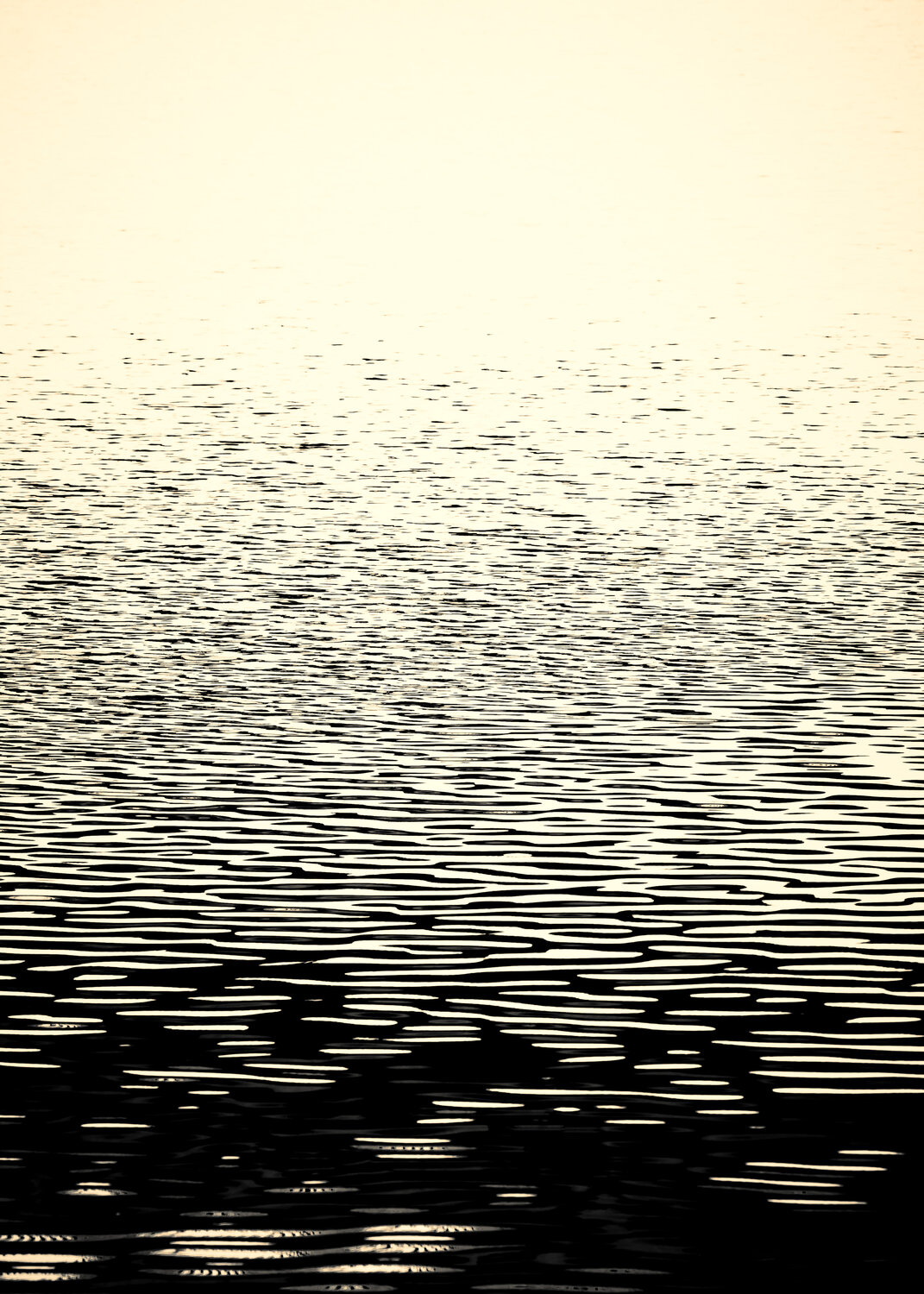 El mar, el mar Jorge Omeñaca