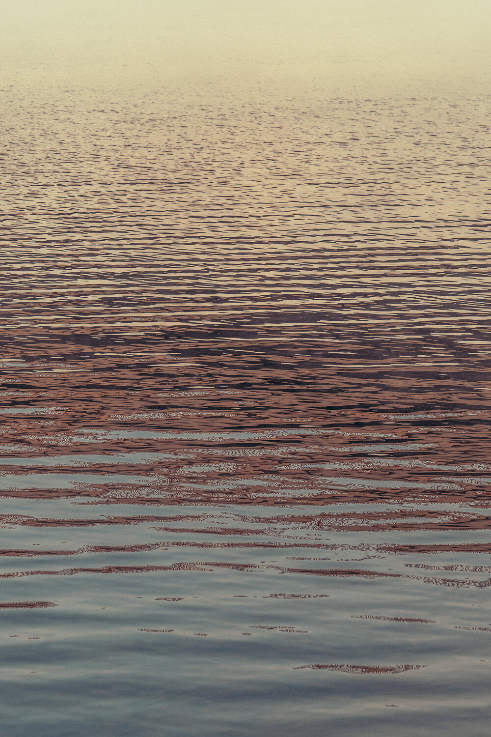 The possibility of water Jorge Omeñaca