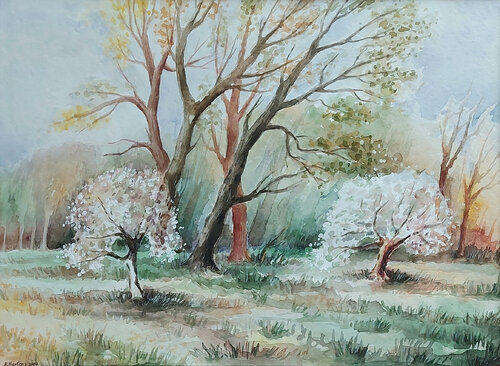 Apfelblüte di Ewa Martens, Pittura in vendita su Singulart