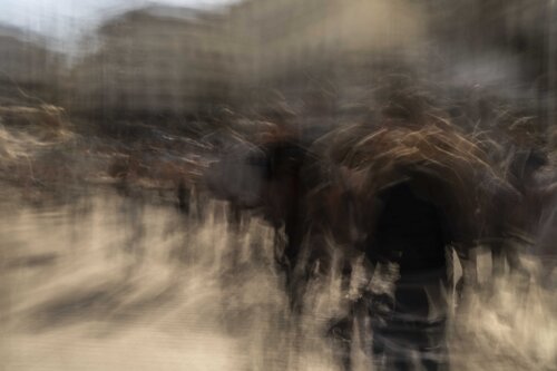 humanité déranger by Riego van Wersch, Photography for Sale on Singulart