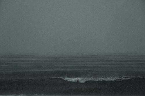 no title by Riego van Wersch, 사진 for Sale on Singulart