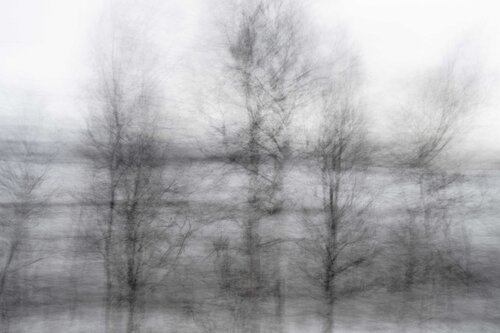 foret noir 4 Riego van Wersch