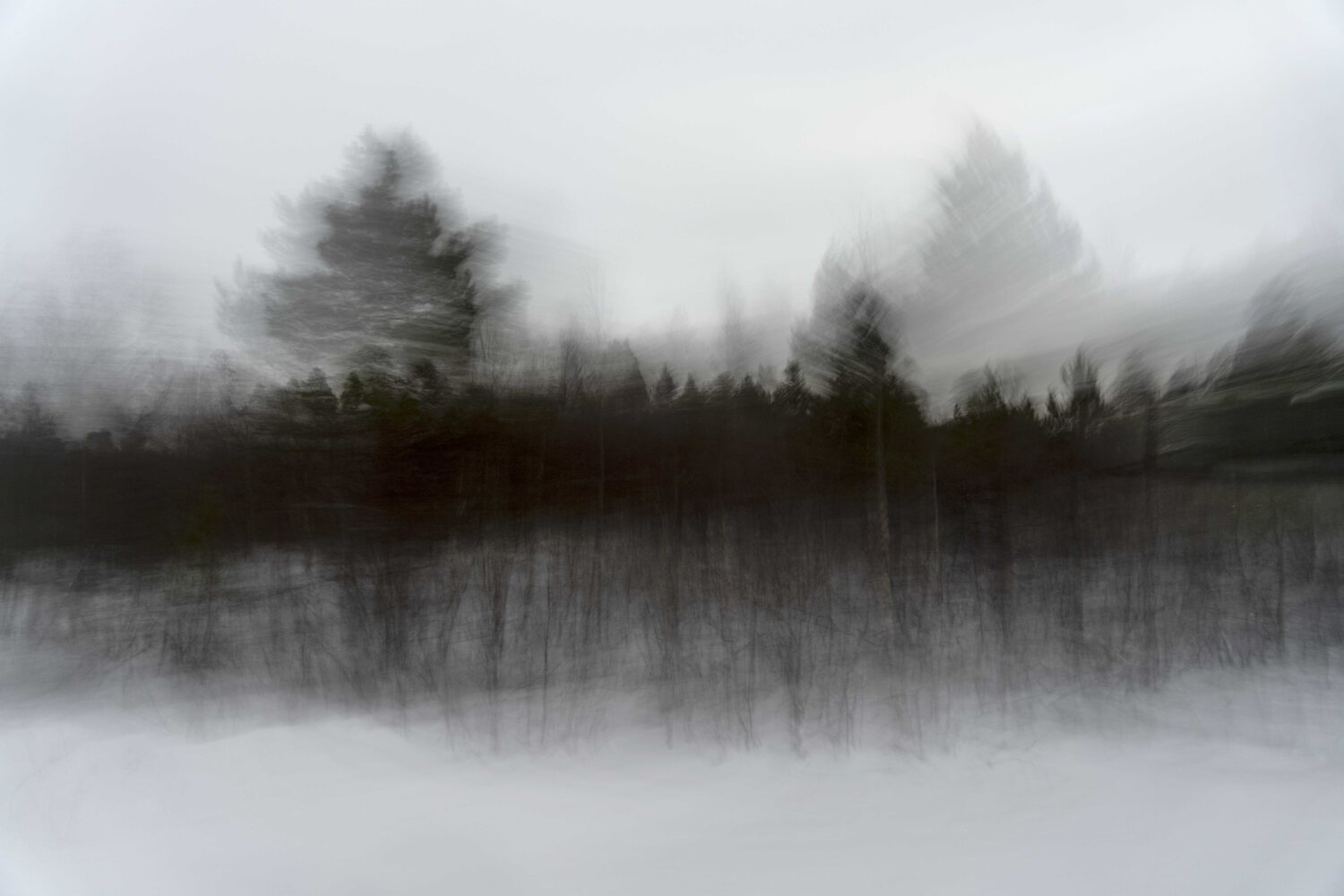 foret noir Riego van Wersch