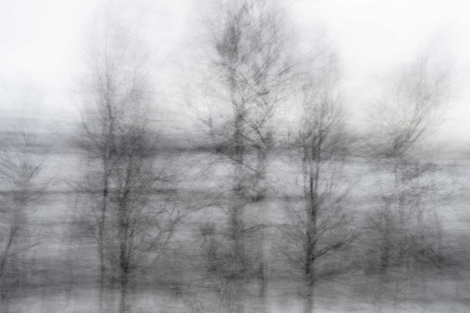 foret noir 4 Riego van Wersch