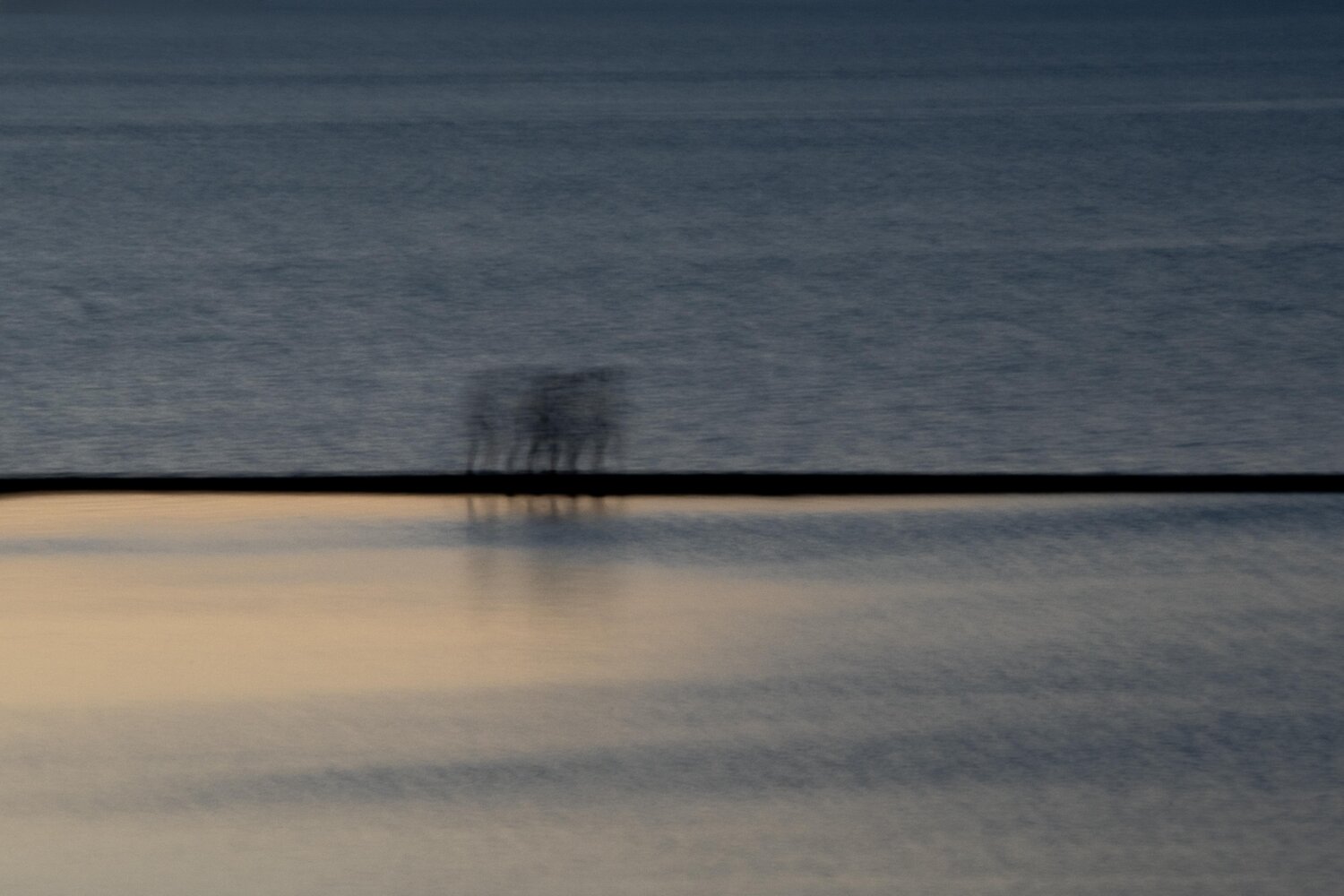 run Riego van Wersch