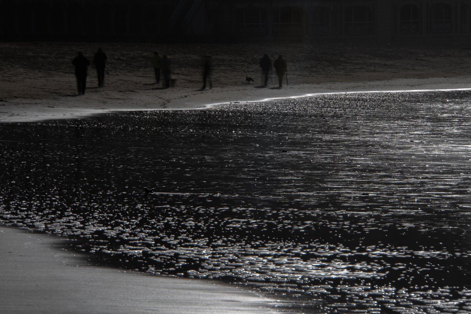walker on the beach Riego van Wersch