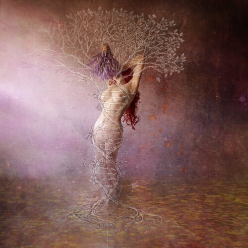 Árbol de la vida von Crissial, Fotografie kaufen auf Singulart