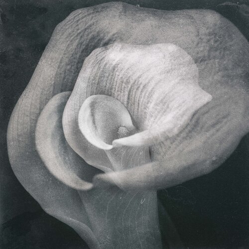 Ecos en la penumbra by Crissial, 사진 for Sale on Singulart