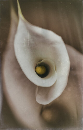 Sinfonía de texturas by Crissial, 사진 for Sale on Singulart