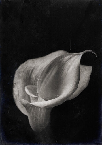 Secreto velado by Crissial, 사진 for Sale on Singulart