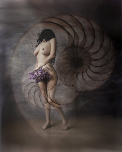 Caracola terrestre by Crissial, 사진 for Sale on Singulart