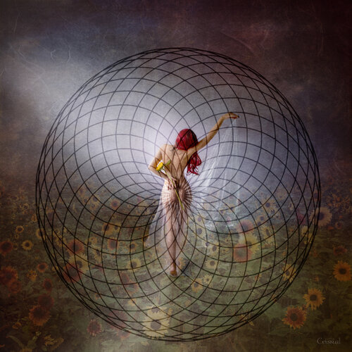 Geometría Floral Crissial