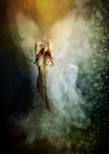 Metamorfosis II by Crissial, 사진 for Sale on Singulart