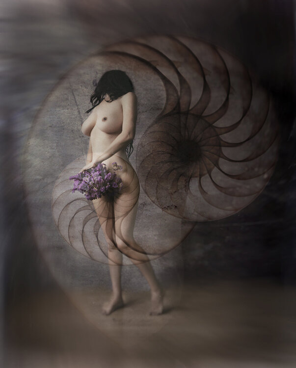 Caracola terrestre Crissial