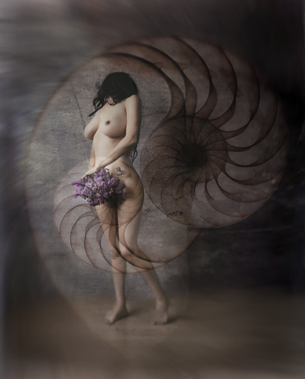 Caracola terrestre Crissial