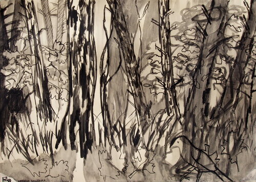 The Bird Called Peooreck In The Forest by Weronika Raczynska, 소묘 for Sale on Singulart