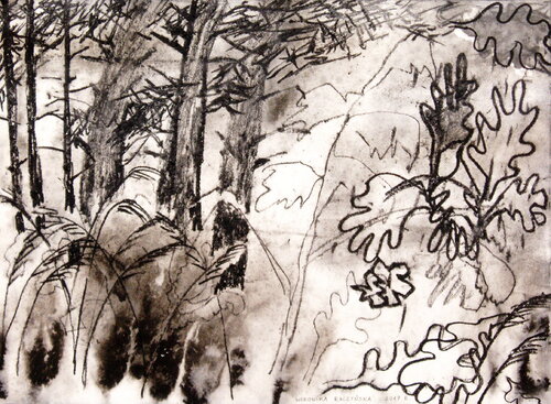Nature di Weronika Raczynska, Disegno in vendita su Singulart