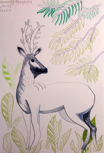 Deer de Weronika Raczynska, Obra en papel a la venta en Singulart