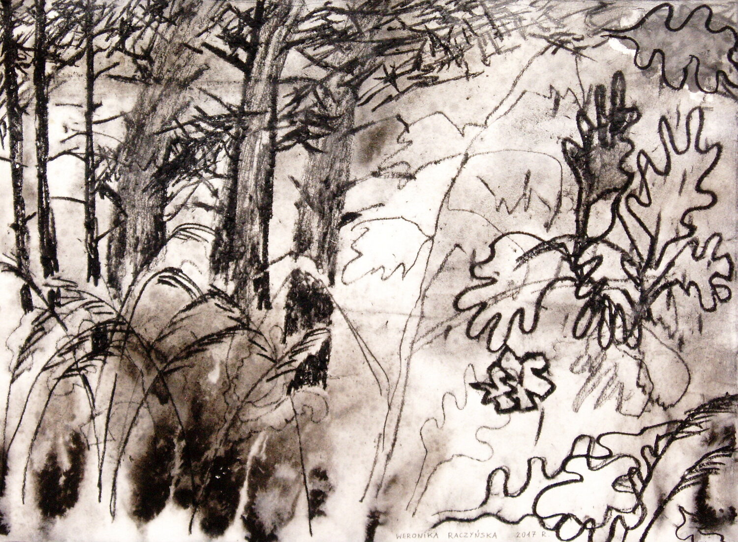 Nature Weronika Raczynska
