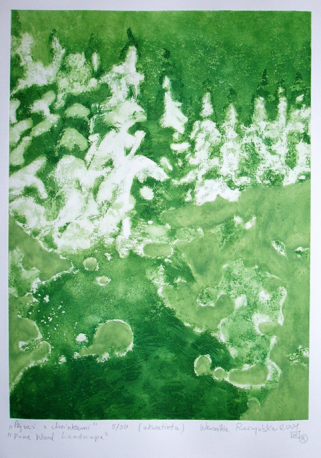 Pine Wood Landscape Weronika Raczynska