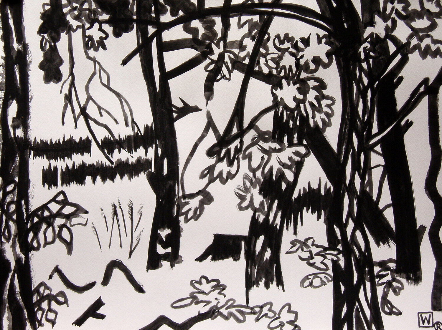 Oak-Trees Weronika Raczynska