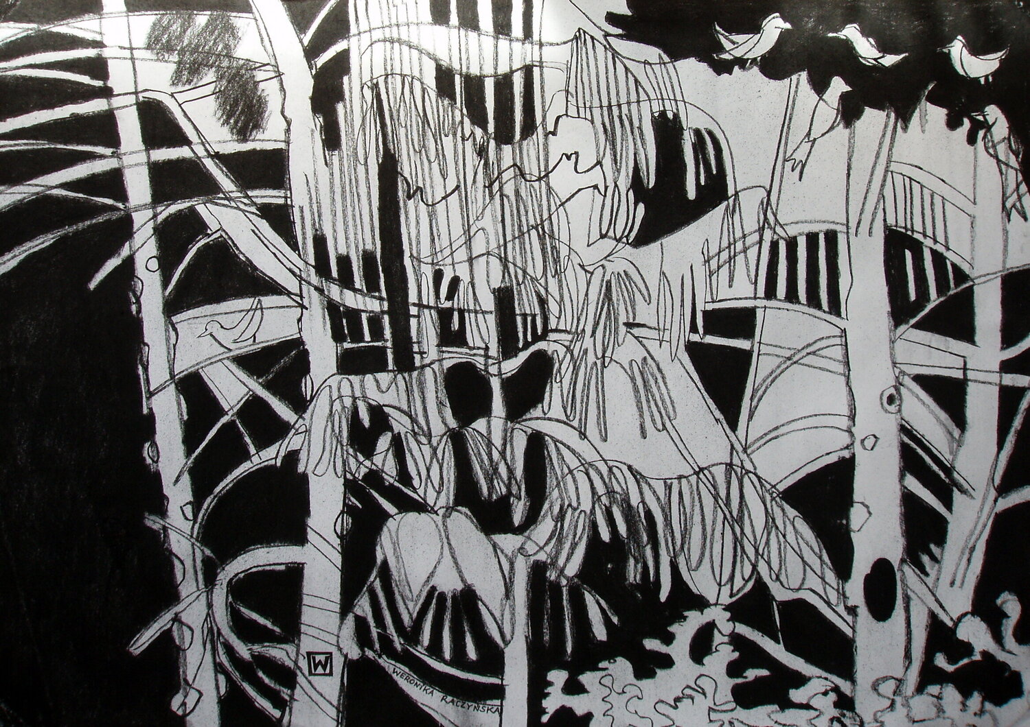 Birds In The Trees Weronika Raczynska