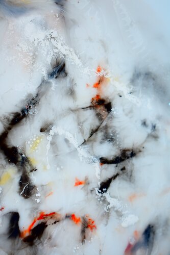 die Pinguine van Martin Luisi, Fotografie te koop op Singulart