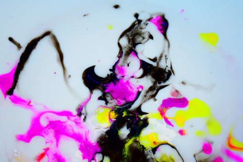 Duckface di Martin Luisi, Fotografia in vendita su Singulart