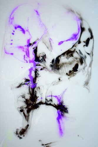 Vennom van Martin Luisi, Fotografie te koop op Singulart