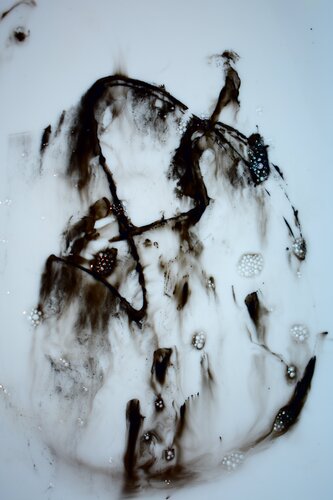 Tanz der Seelen by Martin Luisi, Photography for Sale on Singulart