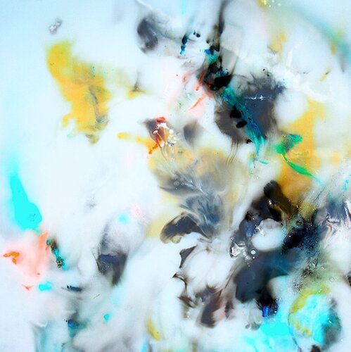 Tagpfauenauge by Martin Luisi, Photography for Sale on Singulart