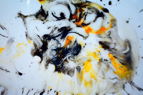 der Tiger van Martin Luisi, Fotografie te koop op Singulart