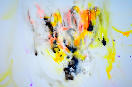 die Gottesanbeterin by Martin Luisi, Photography for Sale on Singulart